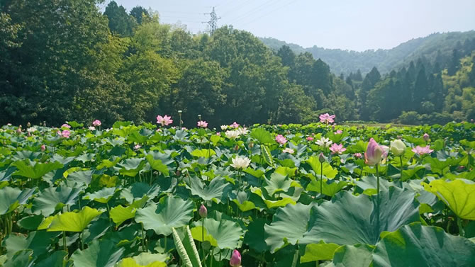 長浜市布勢町のあいのたに