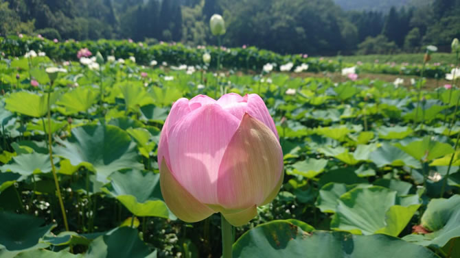 長浜市布勢町のあいのたに