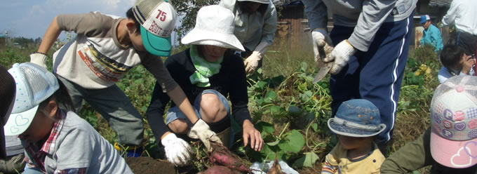 きんたろう村農園