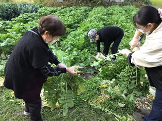 七条つどい施設案内